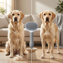 Tidy Fur | Easy-Clean Grooming Brush